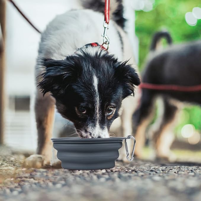 Kytely Collapsible Dog Bowls Medium, Portable Pet Water Food Bowl - Image 7