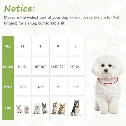 Dog Collar with Daisy Patterns, Spring Summer Collection Green Dog Collar with - Image 2