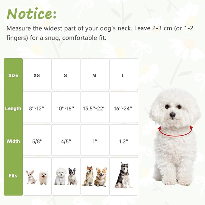 Dog Collar with Daisy Patterns, Spring Summer Collection Green Dog Collar with - Image 2