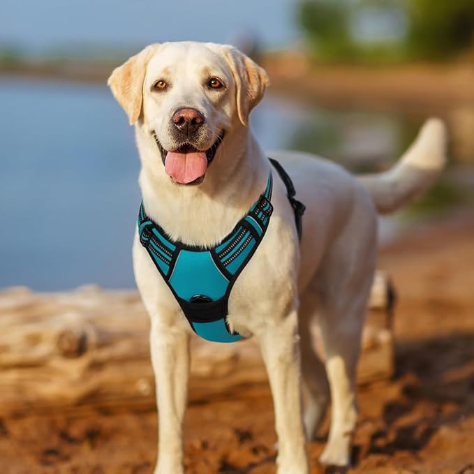 rabbitgoo Dog Harness No Pull - Image 8