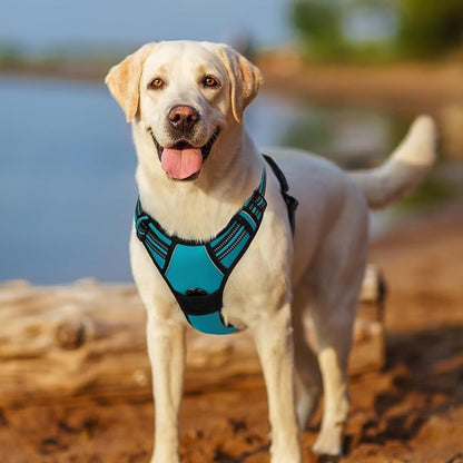 rabbitgoo Dog Harness No Pull - Image 8