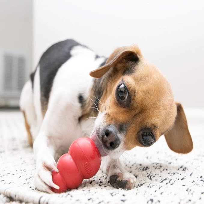KONG Classic Stuffable Dog Toy - Image 3