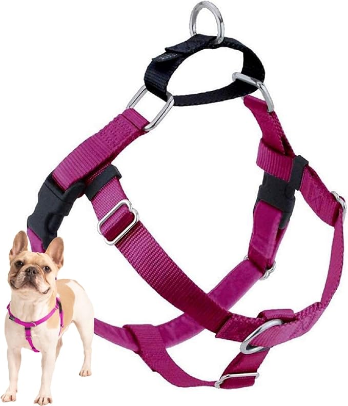 2 Hounds Design Freedom No Pull Dog Harness, Adjustable Harness, Easy Walking & by 2HoundsDesign