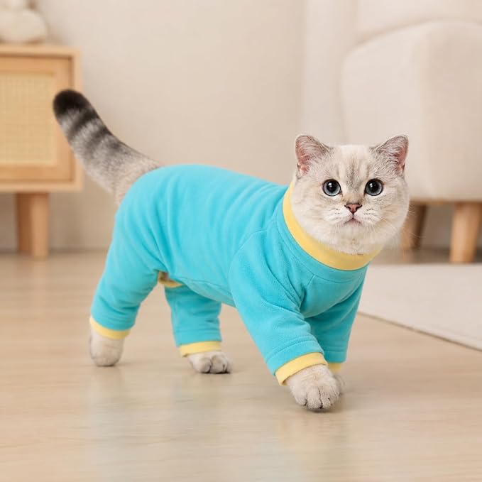 PUMYPOREITY Cat Recovery Sweater - Image 6