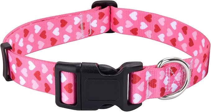 Mihqy Dog Collar by Mihqy