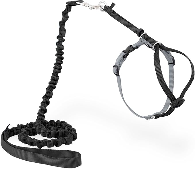 PetSafe Come with Me Kitty Harness and Bungee Leash Adjustable, Lightweight by PetSafe