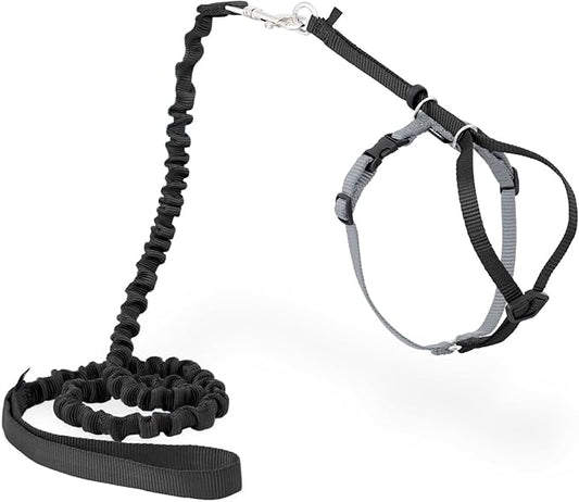 PetSafe Come with Me Kitty Harness and Bungee Leash Adjustable, Lightweight by PetSafe