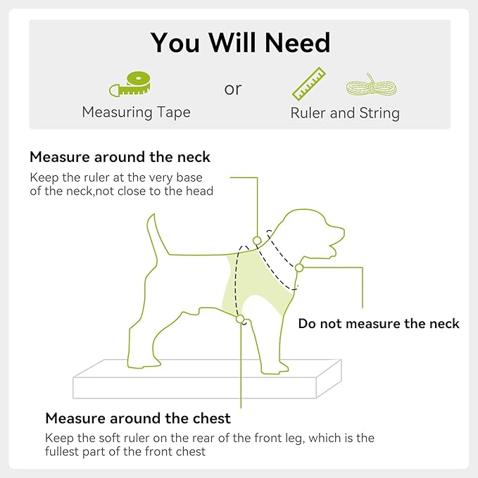Joytale Small Dog Harness, Breathable Mesh Step-in Vest, Reflective Soft Padded - Image 7