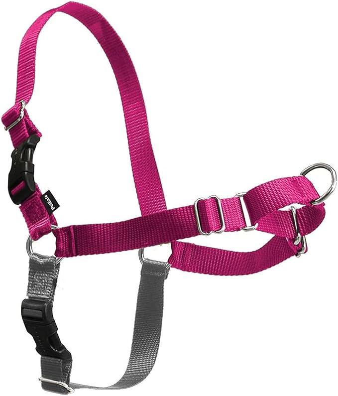 PetSafe Easy Walk No-Pull Dog Harness by PetSafe