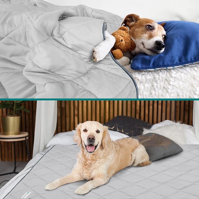 PetAmi Premium Cooling Dog Blanket | Lightweight Fluffy Pet Throw Blanket Bed - Image 4