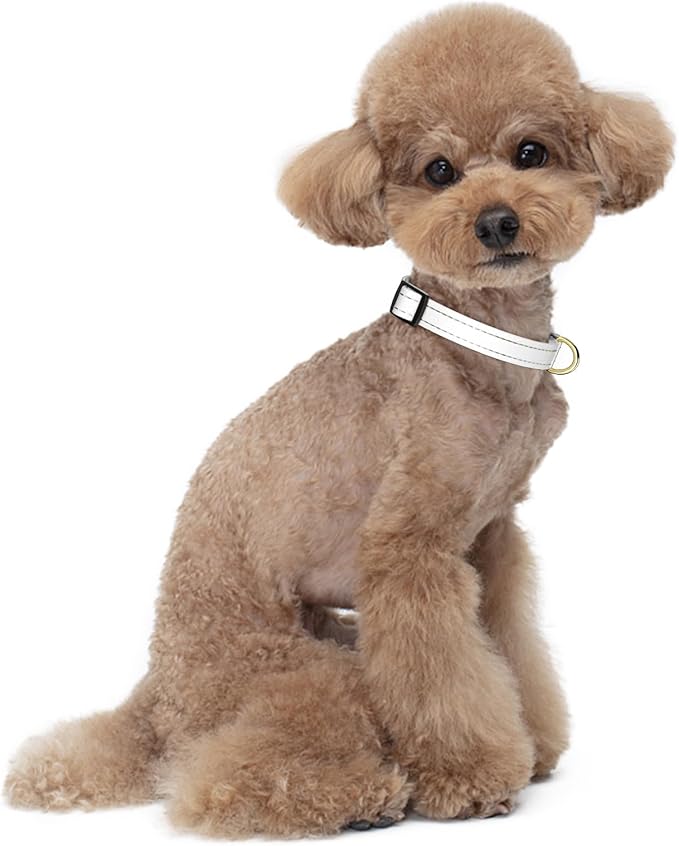 Reflective Dog Collar for Small Dogs Cats, Cute Adjustable Heavy-Duty Nylon - Image 2