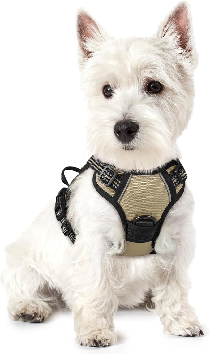 rabbitgoo Dog Harness No Pull by rabbitgoo