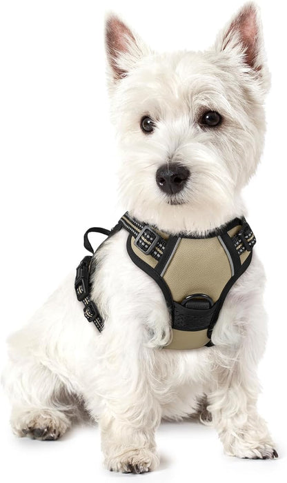 rabbitgoo Dog Harness No Pull by rabbitgoo