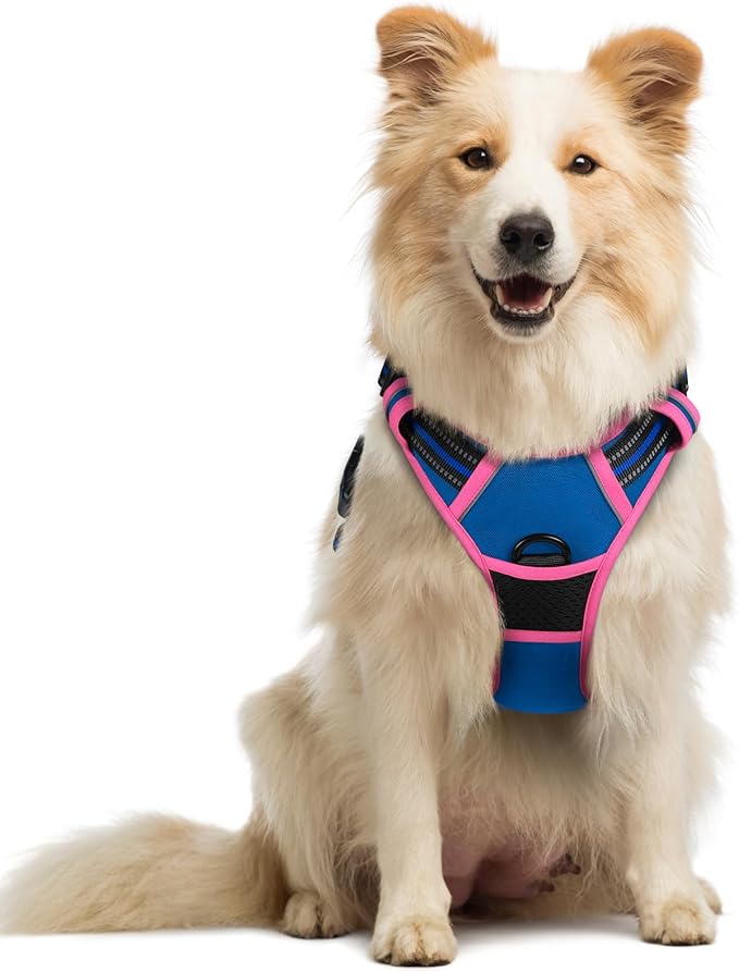 rabbitgoo Dog Harness No Pull by rabbitgoo