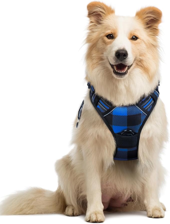rabbitgoo Dog Harness No Pull by rabbitgoo