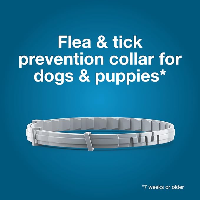 Seresto Large Dog Vet-Recommended Flea & Tick Treatment & Prevention Collar - Image 4