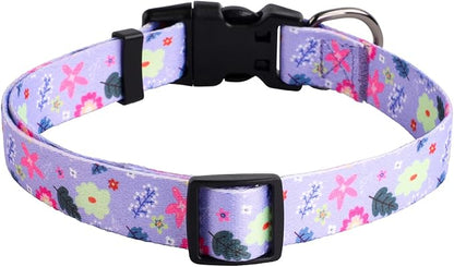 QQPETS Adjustable Soft Dog Collar: Print Flower Pink Multicolor Cute Patterns - Image 5
