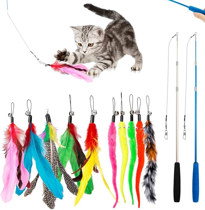 JIARON Cat Toys Feather Toy, Interactive Catcher and Funny Exercise by JIARON