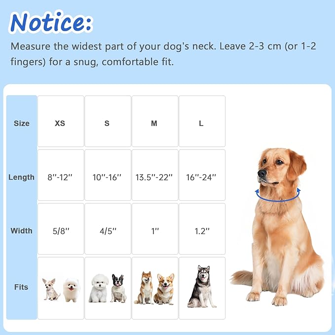 Dog Collar with Daisy Patterns, Spring Summer Collection Blue Dog Collar with - Image 2