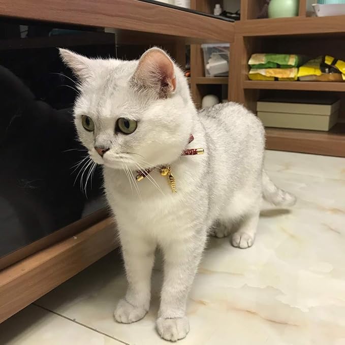 Cute Bowtie Cat Collar with Bell. Japanese Stylish Bowknot & Fish Charm. Safety - Image 6