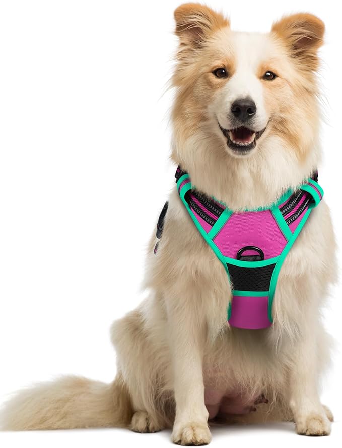 rabbitgoo Dog Harness No Pull by rabbitgoo