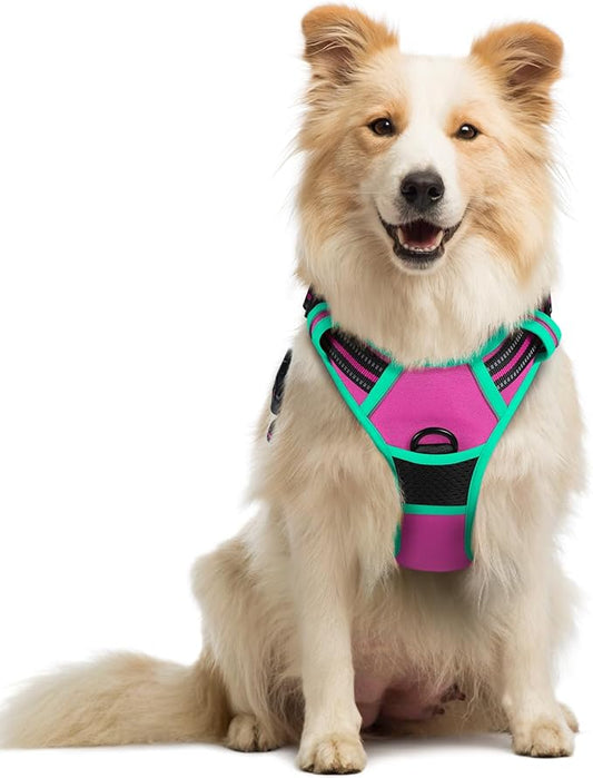 rabbitgoo Dog Harness No Pull by rabbitgoo