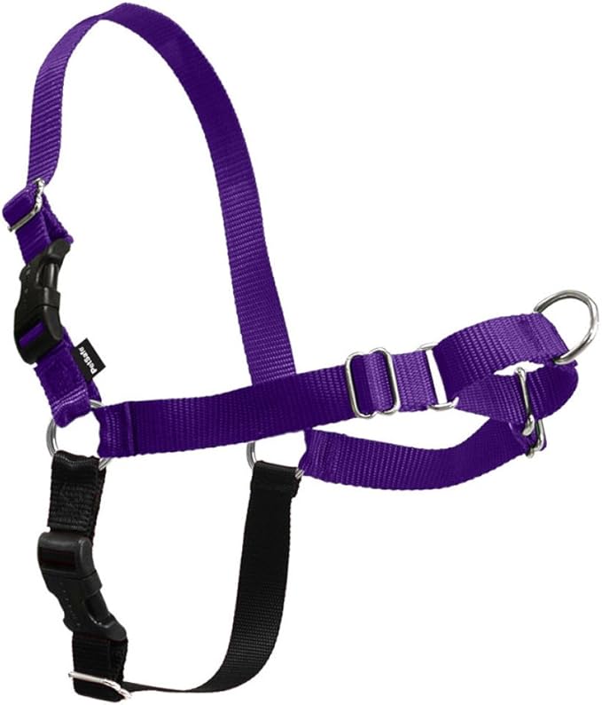 PetSafe Easy Walk No-Pull Dog Harness by PetSafe
