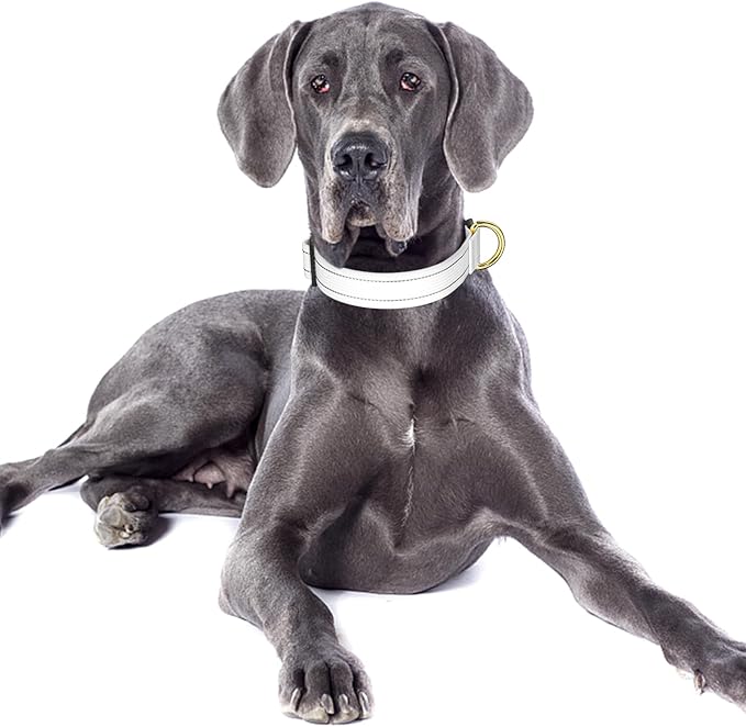 Reflective Dog Collar for Large Dogs, Cute Adjustable Heavy-Duty Nylon Puppy - Image 2
