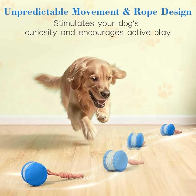 Interactive Dog Ball, Random Path Electric Automatic Moving and Rolling Dogs Toy - Image 2
