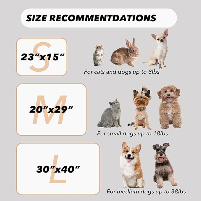 1 Pack 3 Small Puppy Blankets Super Soft Warm Sleep Mat Fluffy Premium Fleece - Image 5