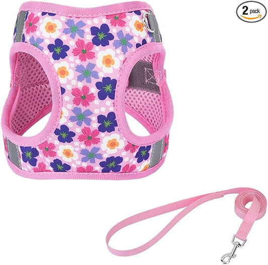 Step in Dog Harness and Leash Set, Flower Adjustable Easy Walk Puppy Harnesses by Flymind