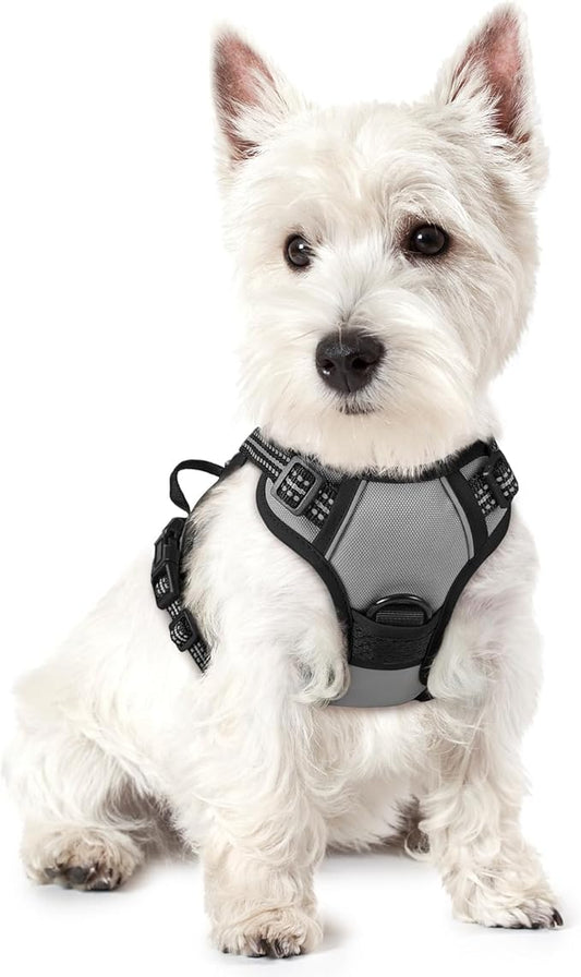rabbitgoo Dog Harness No Pull by rabbitgoo