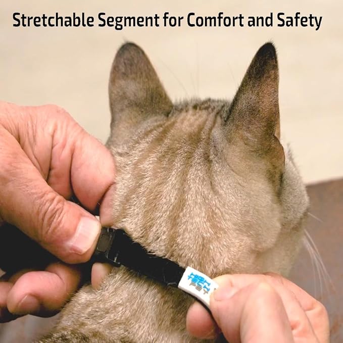 Genuine MS-5® Designer Cat Collar - Image 4
