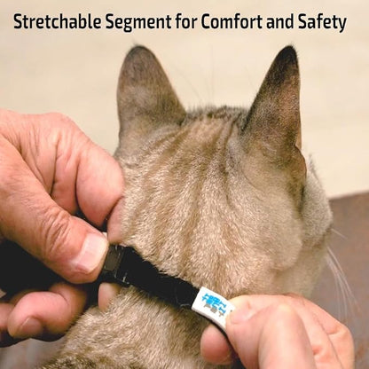 Genuine MS-5® Designer Series Cat Collar - Image 4
