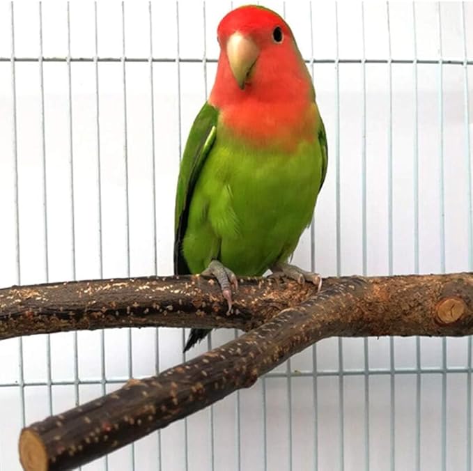 4 Pack Natural Wood Bird Perch Parrot Stand Branches Fork Toys, Pet Bird Cage - Image 5