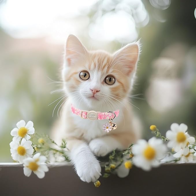 2 Pack Pink Cat Collars - Image 6