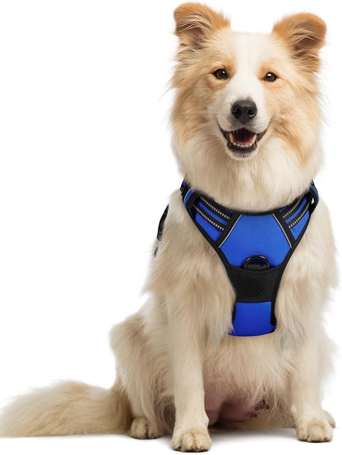 rabbitgoo Dog Harness No Pull by rabbitgoo