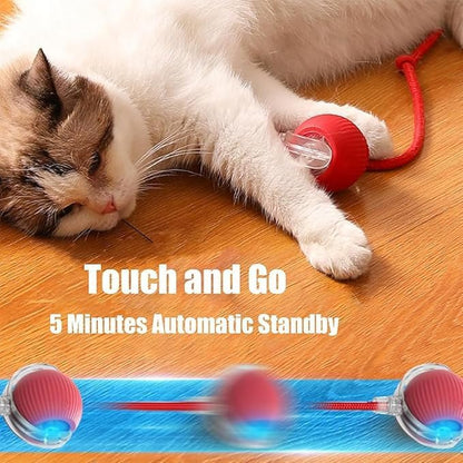 2025 New Electric Dog Ball Toy, 360° Smart Automatic Interactive Rolling Dog - Image 5
