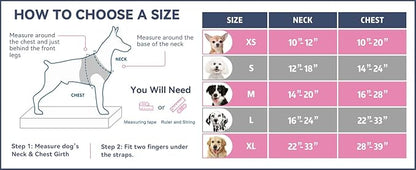 PHOEPET No Pull Dog Harnesses for Small Dogs Reflective Adjustable Front Clip - Image 2