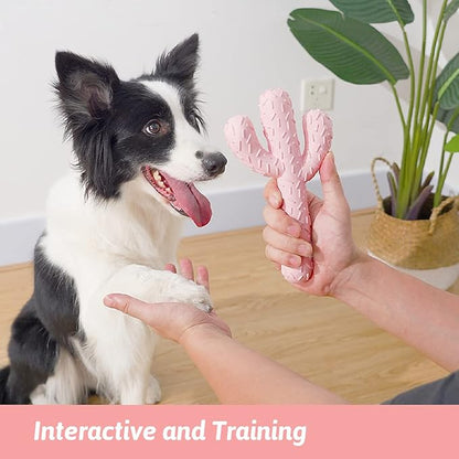 MewaJump Dog Chew Toys, Tough Rubber Dog Toys - Image 4