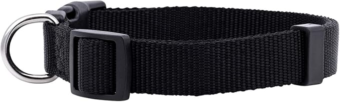 Native Pup Basic Nylon Dog Collar, Adjustable - Image 2