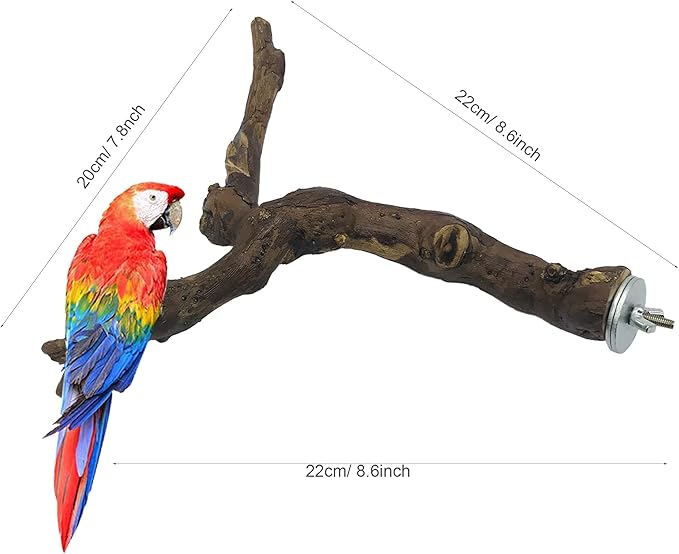 2 PCS Natural Grape Stick Fork Bird Perch Bird Standing Stick Chewing Bird Toys - Image 3