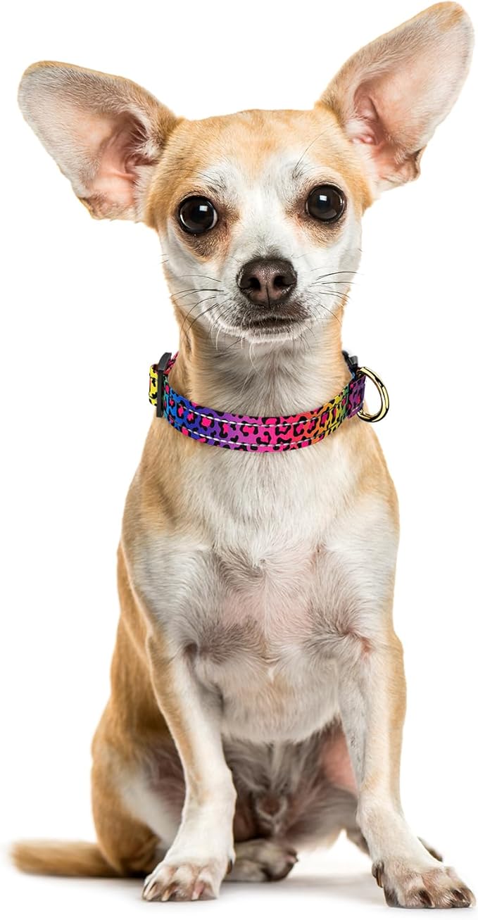 Reflective Dog Collar for Extra Small Dogs Cats, Cute Leopard Style Adjustable - Image 2
