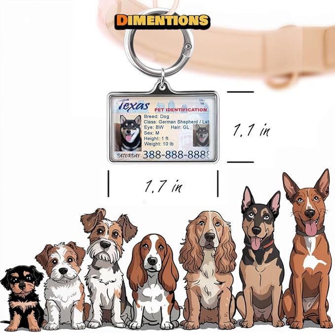 Custom Dog Driver License Tag for Pets - Image 6