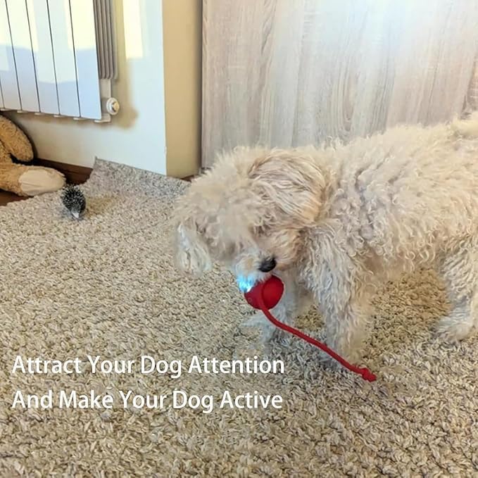 Valentines Day Gifts 2025 New Electric Dog Ball Toy, 360° Smart Automatic - Image 6