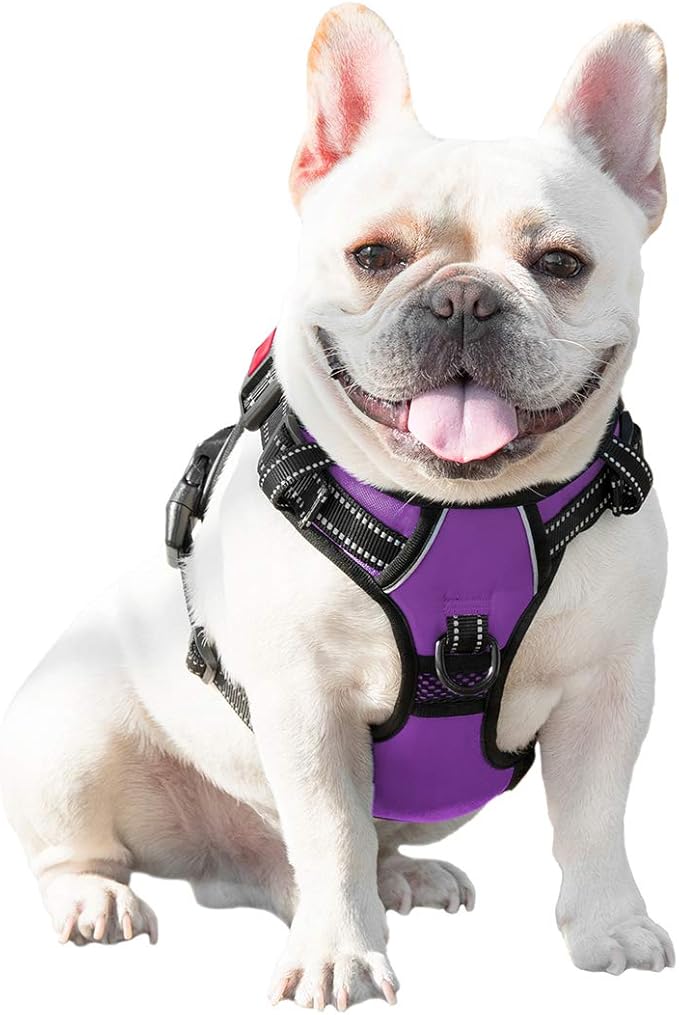 PHOEPET No Pull Dog Harnesses for Small Dogs Reflective Adjustable Front Clip - Image 7