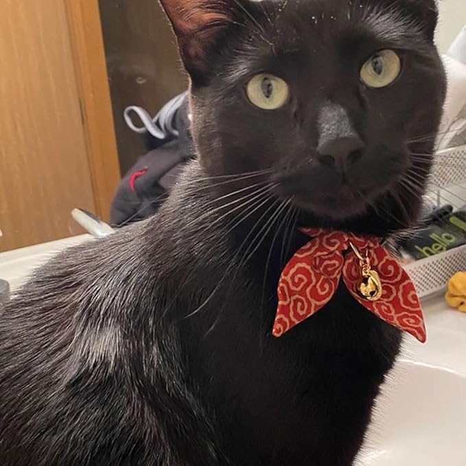 Bunny Ears Cat Collar, Japan Lucky ‘開三運’ Charm. Safety Breakaway Bowtie Kitten - Image 7