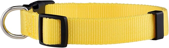 Native Pup Basic Nylon Dog Collar, Adjustable - Image 2