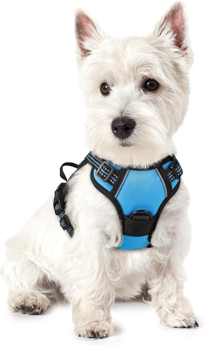 rabbitgoo Dog Harness No Pull by rabbitgoo
