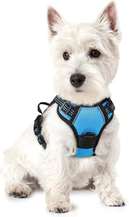 rabbitgoo Dog Harness No Pull by rabbitgoo